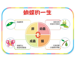 章首頁